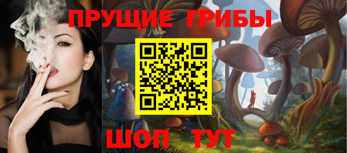 Псилоцибиновые грибы Cubensis Самара